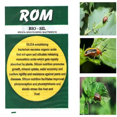 ROM 4 kg Silica Solubiliser Bio Fertilizer | Silica Solubilising Bacterium